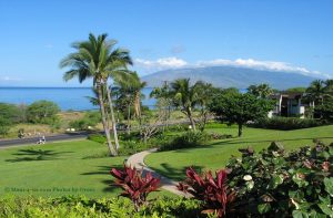 path to beach from Maui Kamaole